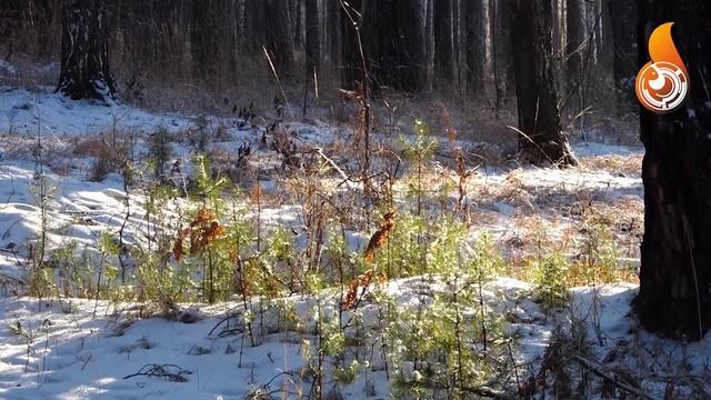 Для тех, кто любит всё и сразу! Новости 08.12.2020 смотреть онлайн