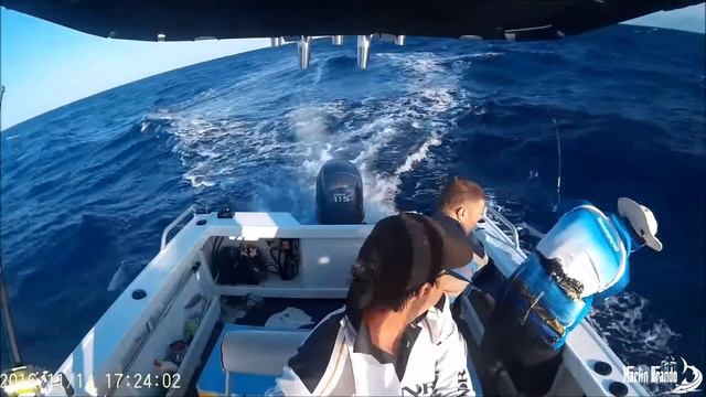 Marlin fishing 14 Nov 2016 смотреть онлайн