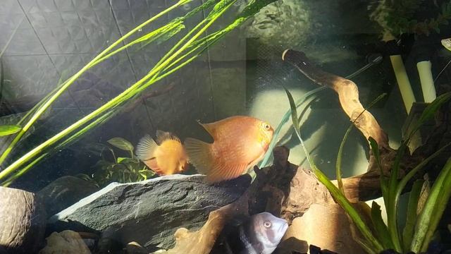 6 июня 2023 г. смотреть онлайн