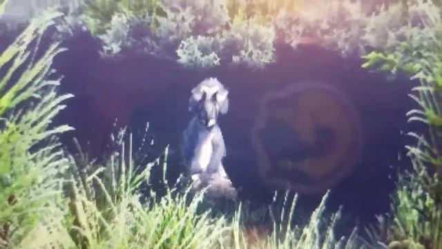 Something Random Monday | 1 | The Isle Glitched Avaceratops смотреть онлайн
