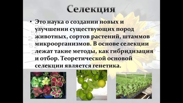 2 мая 2023 г. смотреть онлайн