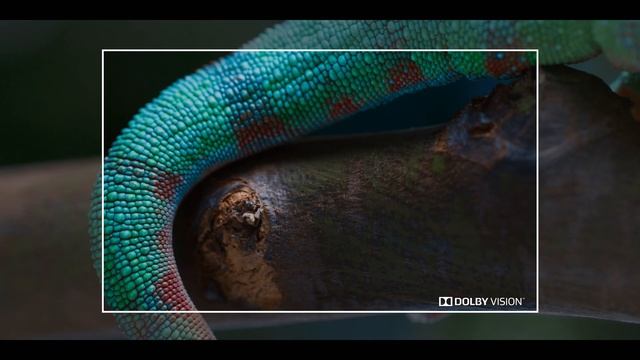 FULL DOLBY - Chameleon Lossless ULTRA HD + HDR DEMO смотреть онлайн