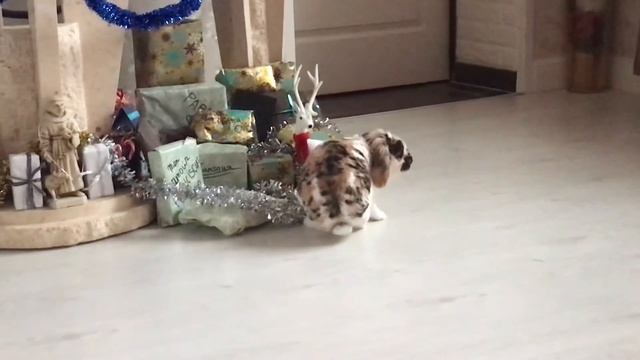 Lapin de Noël смотреть онлайн