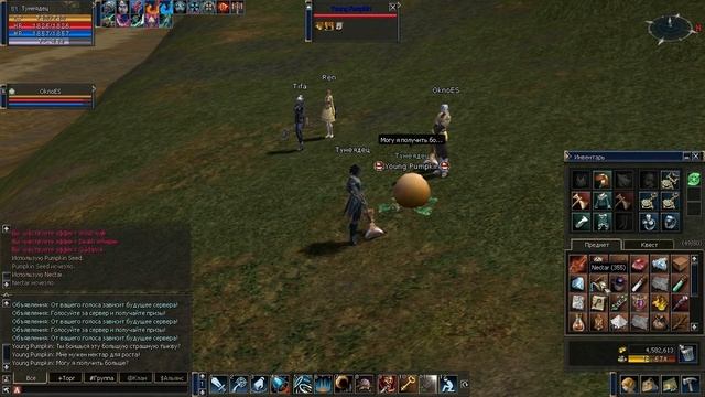 La2 C4 Тыква (lineageclassic.ru)