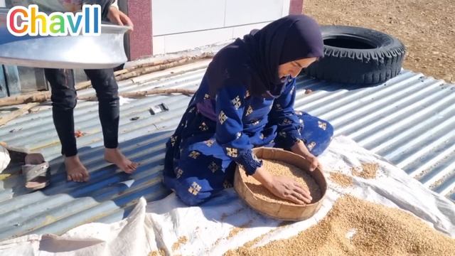 Nomadic Life, Kulthum's Effort For Bread Flour And Ali's Tense Presence With A Gift