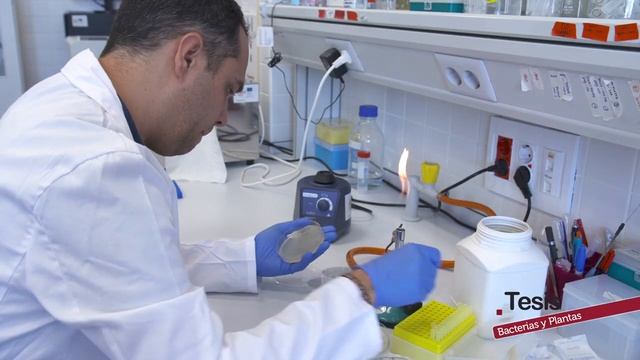 BACTERIAS PARA MEJORAR LA SALUD DE LAS PLANTAS смотреть онлайн