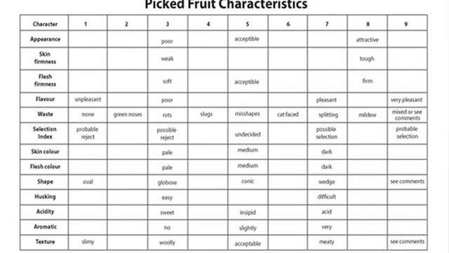 Strawberry Breeding techniques - selecting crosses смотреть онлайн
