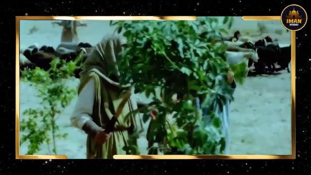 YUSUF ALAYHISSALOM QISSASI. 2-qism. O'zbek Tilida. ЮСУФ ПАЙГАМБАР. Узбек тилида 2-кисм.