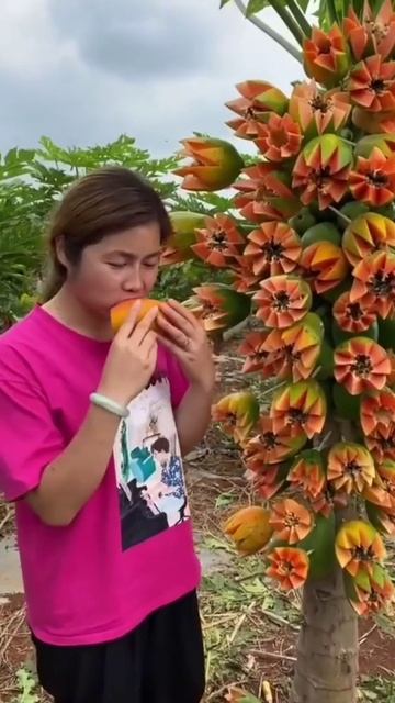 Sweet Sweet papaya 🤤#papaya #fruits #Asmr смотреть онлайн