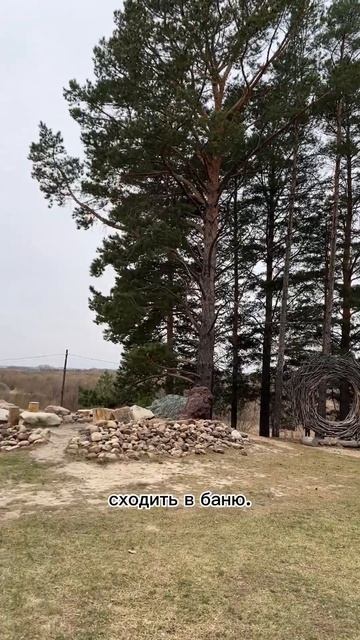 Комплекс «Гнездо» (Тюмень) подойдет для проведения от семейных праздников до корпоративных тренинго смотреть онлайн