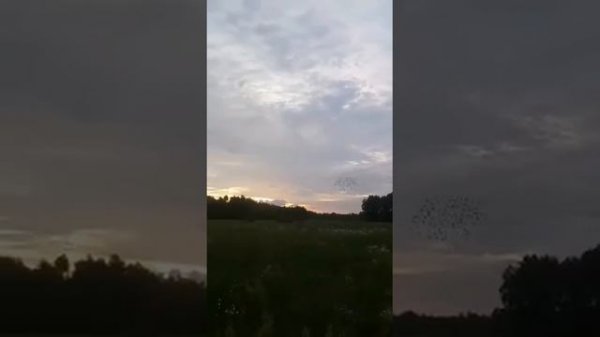 5 Соревнование Чуровичи 540 км