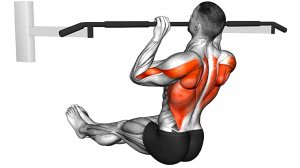 Лучшие варианты Подтягиваний для Тренировки Спины