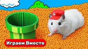 МАРИО ЛАБИРИНТ ДЛЯ ХОМЯКА ! Выбираемся вместе из игры МАРИО ! Видео для детей