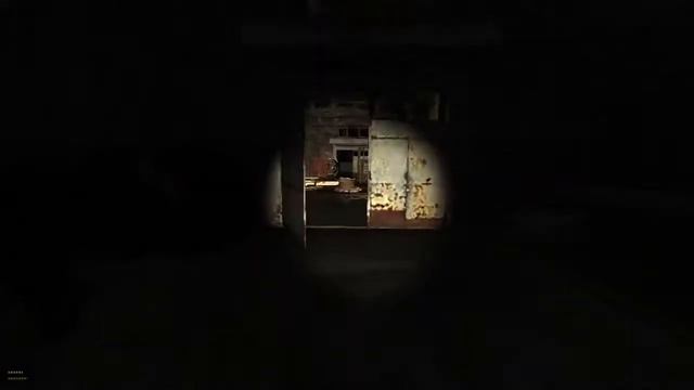 AWT. S.T.A.L.K.E.R. Два дебила в зоне, не считая собак. смотреть онлайн