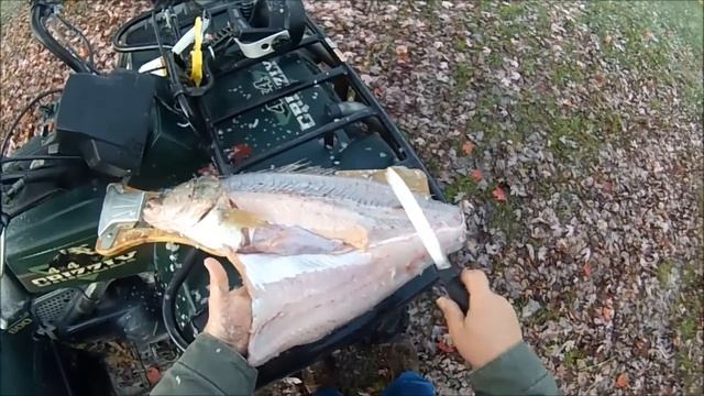 How To #10: Butterfly Fillet A Walleye (Regular Fillet Knife) смотреть онлайн