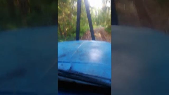 Ползем в делянку на кормильце