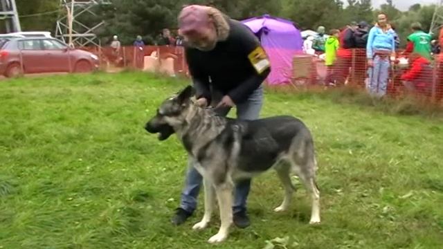 Целый Мир смотреть онлайн