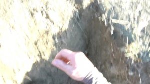 Тест Smart Puls и Intronik STF на "соленом" (проводящем грунте. Крым 2024