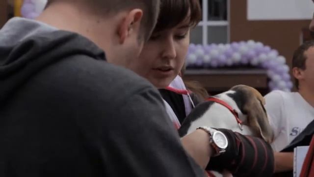 Вручение ключей в ЖК "Львовский" и "Пражский Квартал" 28.06.2014 смотреть онлайн