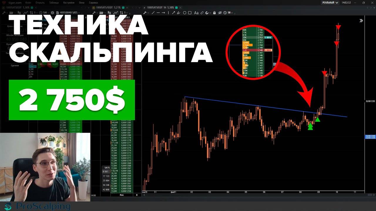 ТЕХНИКА СКАЛЬПИНГА ПО СКРИНЕРУ КРИПТОВАЛЮТ. СТРАТЕГИЯ ДЛЯ НОВИЧКОВ смотреть онлайн