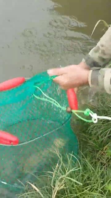 чеченец и форель смотреть онлайн