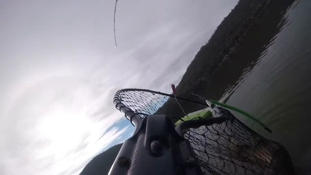 New GoPro and different angles plus pics from last couple trips смотреть онлайн