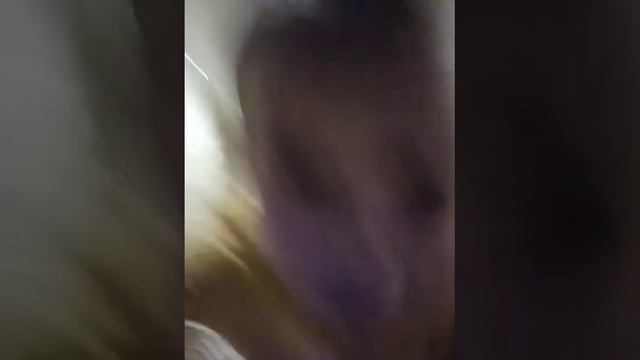13 декабря 2019 г. смотреть онлайн