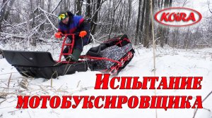 Испытание мотобуксировщика. Лесные покатушки на Койра Богатырь