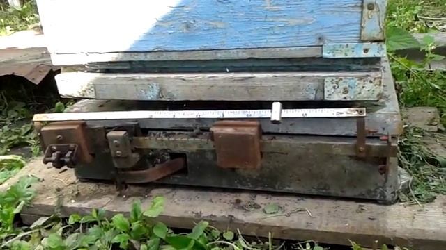 Пчёлы на медосборе. Главный взяток. смотреть онлайн