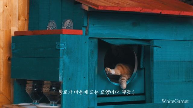내가 당신에게 오두막을 지어줄 수는 없지만. EP. 40 смотреть онлайн