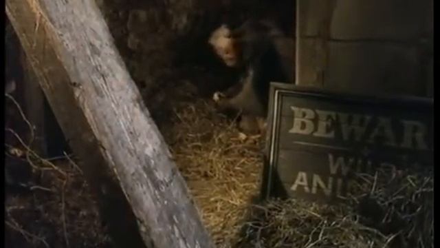 Sherlock Holmes - Szlachetnie urodzony смотреть онлайн