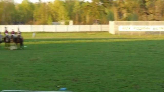 Трубач на коне смотреть онлайн