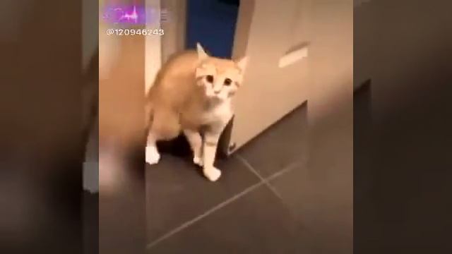 То самое чувство когда увидел злую жену смотреть онлайн
