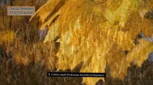 Салим Баханан--Әл-Алә сүресі