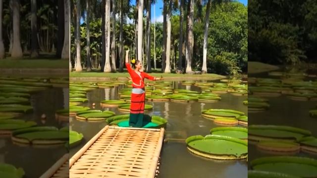 Dancing on world's largest water lily leaves in Yunnan, China смотреть онлайн