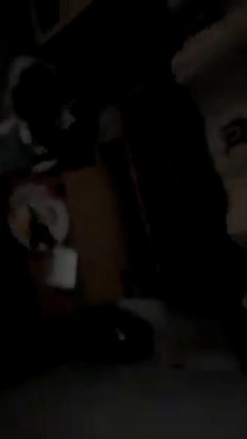 Кот убийца смотреть онлайн