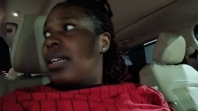 Ultimate Adventure: Taking 7 Kids On A 13-hour Road Trip From Chicago To Pennsylvania!