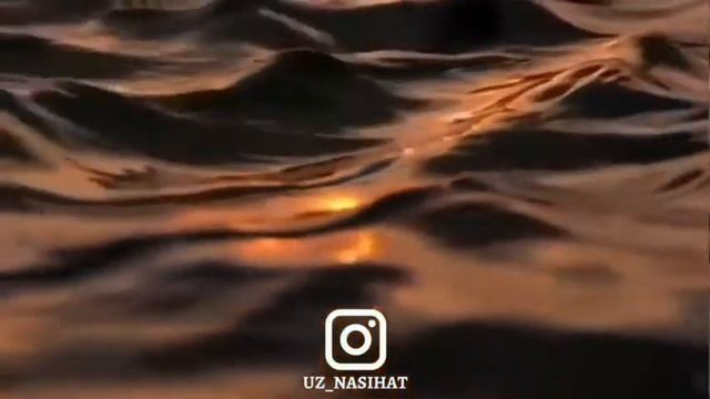 Abduloh domla dajol chikishi😱 #islamic #islomiy #abdullohdomla #абрормухторалий #ош смотреть онлайн