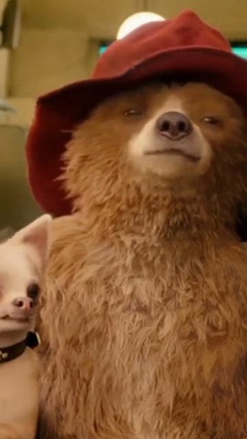 Paddington Dog Scene. #dogs #shorts #funny #cilp #movie смотреть онлайн