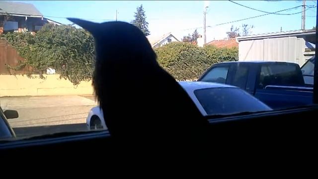 Gretta at window with HD camera смотреть онлайн