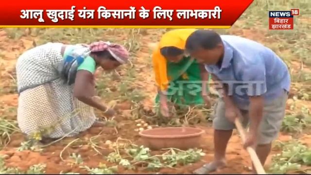 Patato Farming : आलू खुदाई यंत्र पर जानिए पूरी जानकारी | Annadata | Farming in India | Agriculture смотреть онлайн