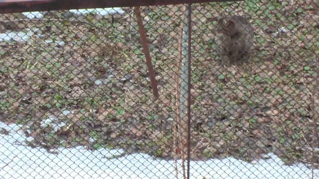 00102 смотреть онлайн