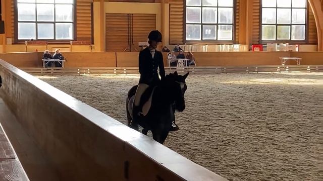 07.03.2020 Кубок КСК Пегас по выездке Зощук Екатерина на Дорайе Командный Приз Дети смотреть онлайн
