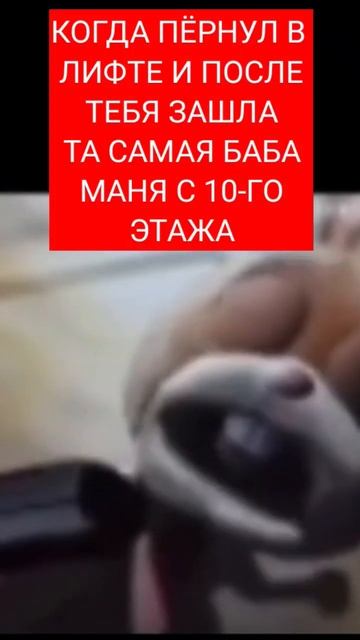 ЗАЯЦ РЖЕТ МЕМ смотреть онлайн