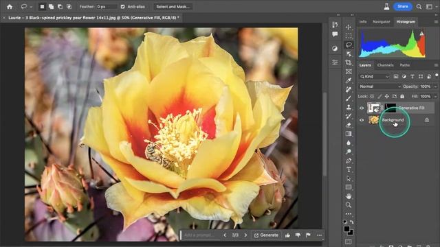 Fine Art Photography SIG 08 14 2023 смотреть онлайн