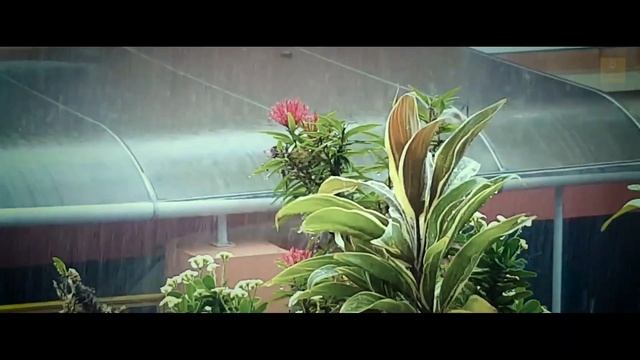 Kajari | Rain Song | Bijuri Chamake | Miyan Ki Malhar | Renuka Arun смотреть онлайн