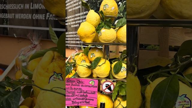 Citrusok földjén🍋 Olaszországban csodálatos parfüm összetevôk között. смотреть онлайн