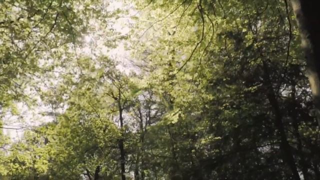 Деньги начнут приходить! Мощный денежный ритуал на ваш личный кошелёк! смотреть онлайн