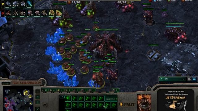 Dimaga vs MgMarador @ Palit JetStream Cup #6 смотреть онлайн