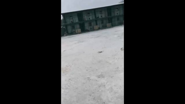 Youtube / Instagram / поездка в приют для животных смотреть онлайн